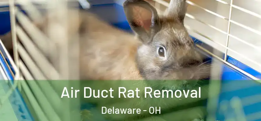 Air Duct Rat Removal Delaware - OH