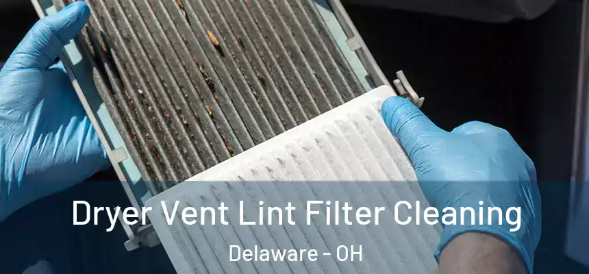 Dryer Vent Lint Filter Cleaning Delaware - OH