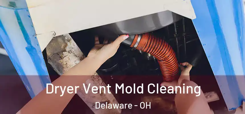 Dryer Vent Mold Cleaning Delaware - OH