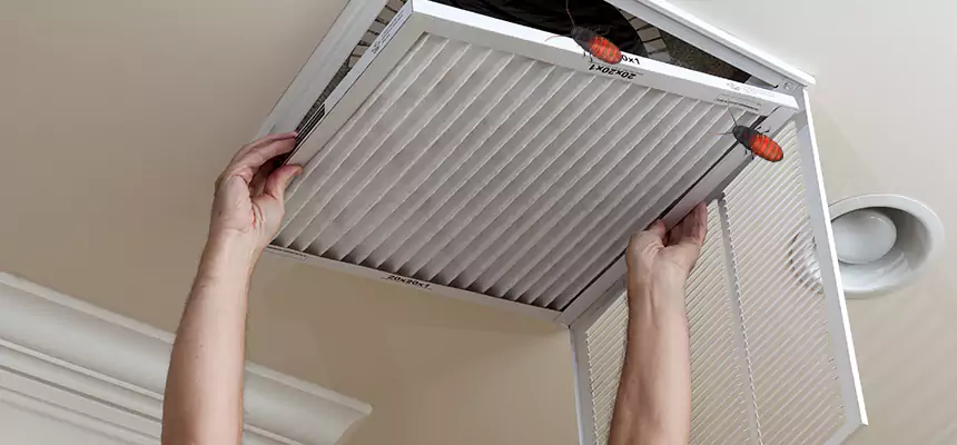 Our Insect Removal from Air Ducts Services in Delaware, OH