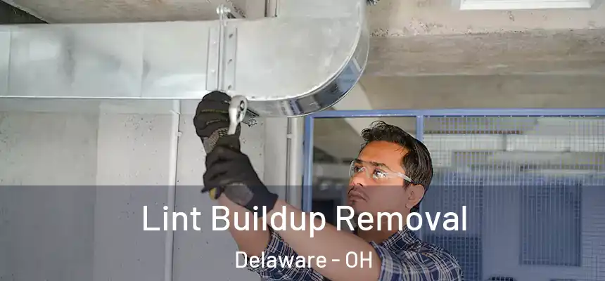 Lint Buildup Removal Delaware - OH