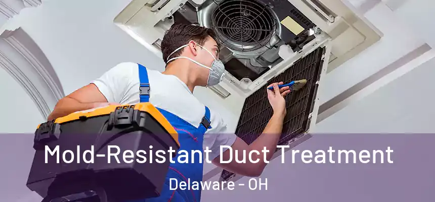 Mold-Resistant Duct Treatment Delaware - OH