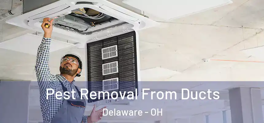 Pest Removal From Ducts Delaware - OH
