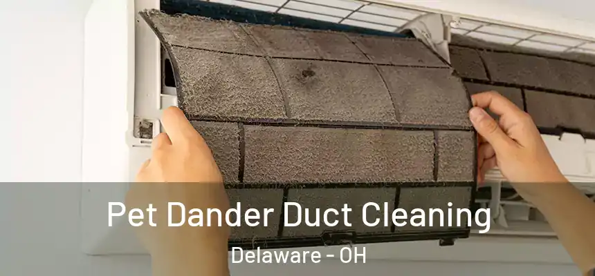 Pet Dander Duct Cleaning Delaware - OH