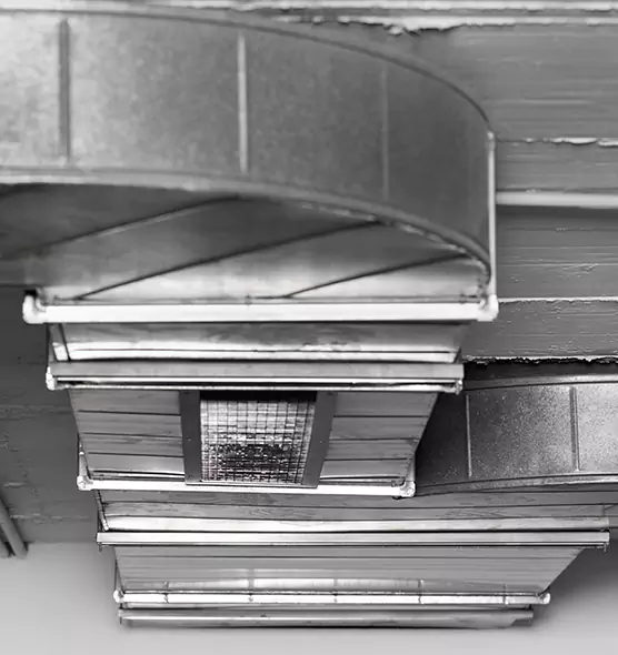 Professional Air Duct Pet Hair Removal in Delaware, OH