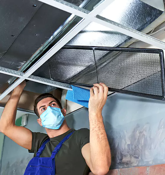 Professional Air Duct Pollen Cleaning in Delaware, OH