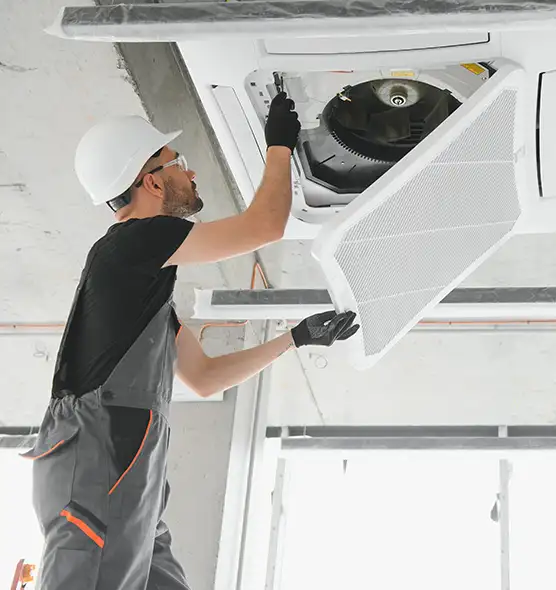 About Air Duct Rodent Removal in Delaware, OH