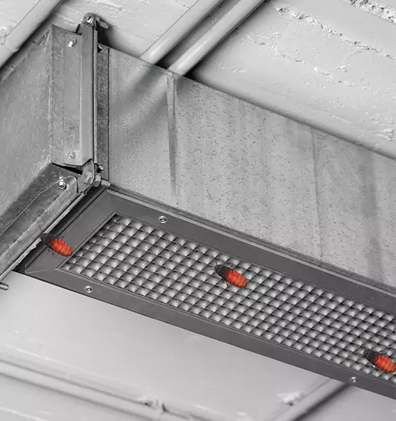 Affordable Insect Removal from Air Ducts in Delaware, OH