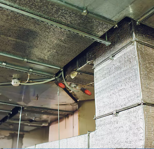 Why Homeowners & Businesses Trust Us in Delaware, OH?