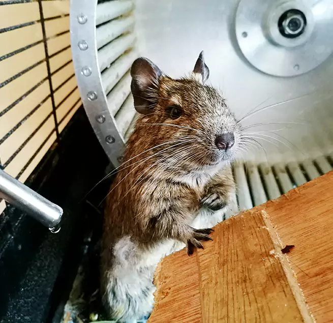 Why Homeowners & Businesses Trust Us Delaware, OH